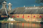 bushmills