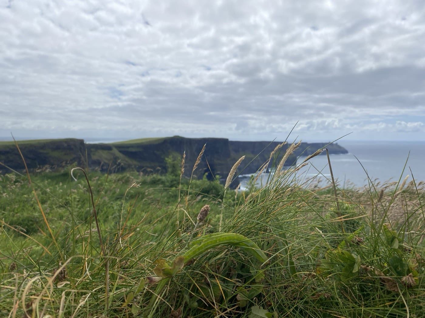 cliffs of Moher--2024