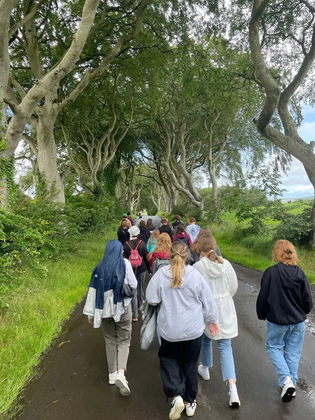 Dark Hedges-Students Walking 2022