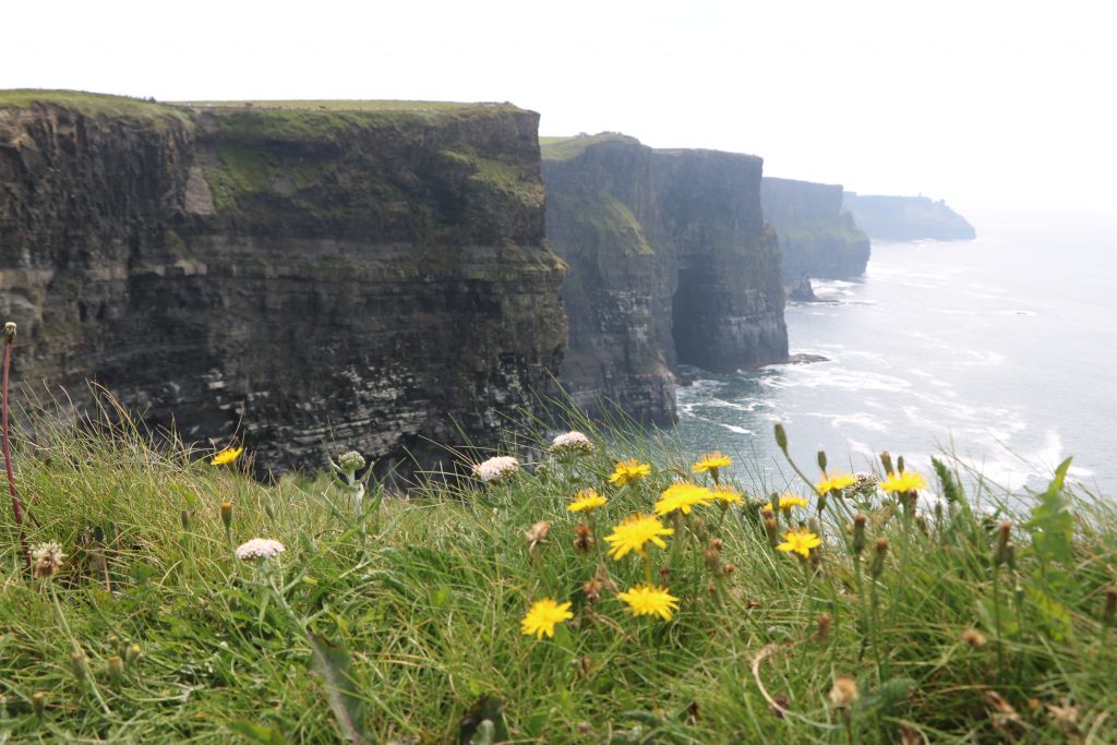 Cliffs of Moher-2022